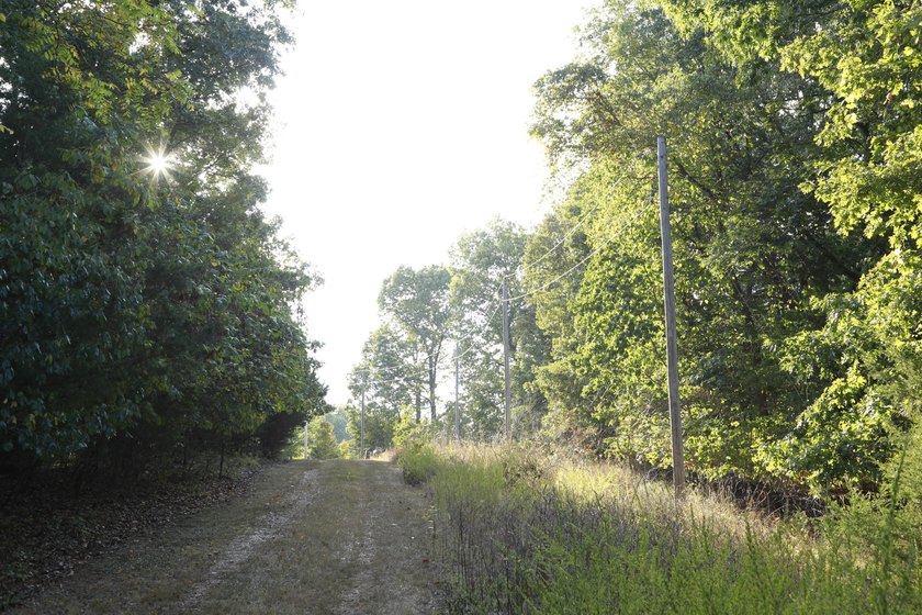 Land For Sale in Near Lake Of The Ozarks MissouriWholesale - photo 12