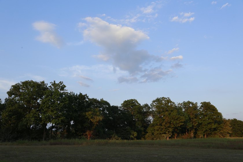 Land For Sale in Near Lake Of The Ozarks MissouriWholesale - photo 17