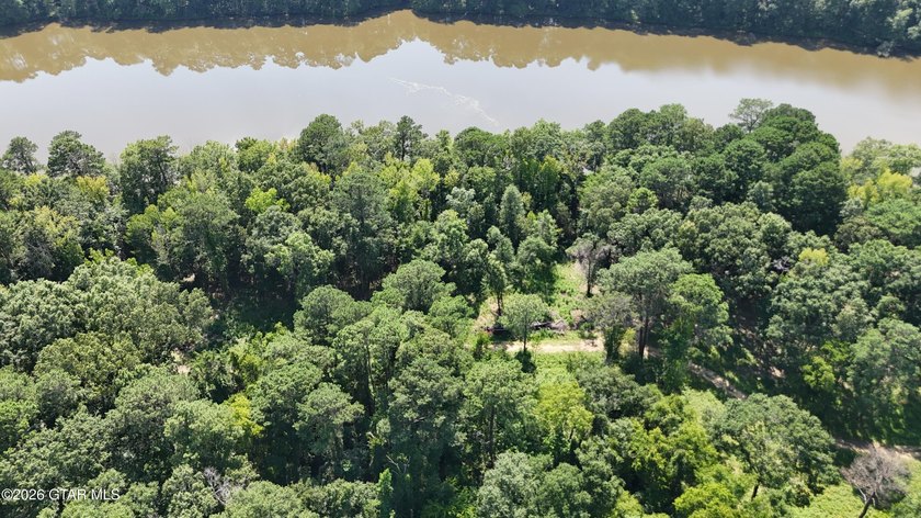 Lot 4 Spacious, wooded lot with excellent building sites and - photo 5