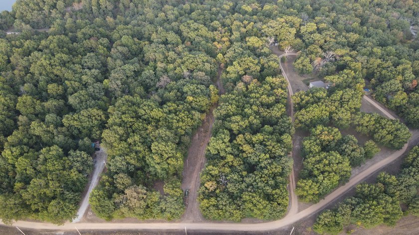 Land For Sale in Near Lake Of The Ozarks MissouriWholesale - photo 31