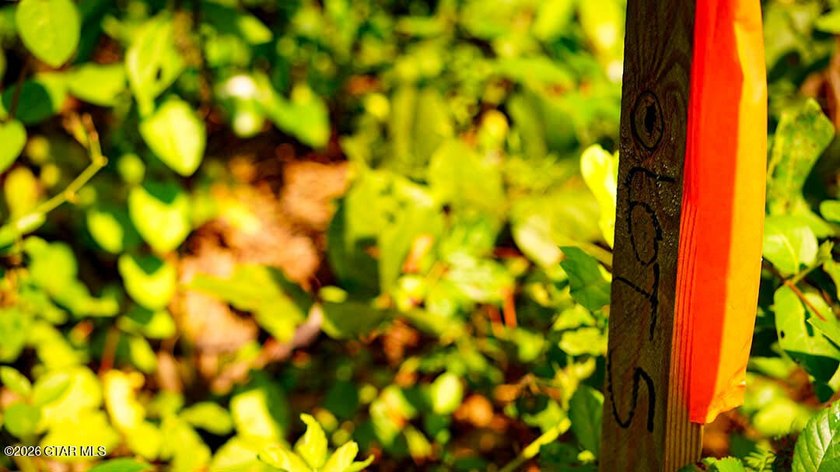 Lot 5 Discover the beauty of this private, tree-filled lot - photo 2