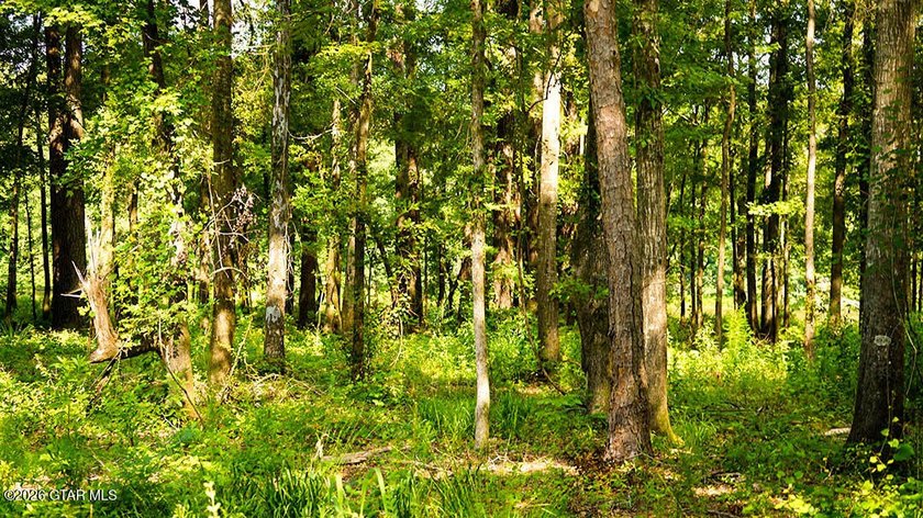 Lot 5 Discover the beauty of this private, tree-filled lot - photo 3