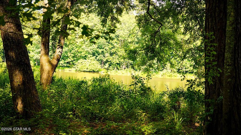 LOT 6 A prime wooded homesite offering natural beauty and river - photo 2