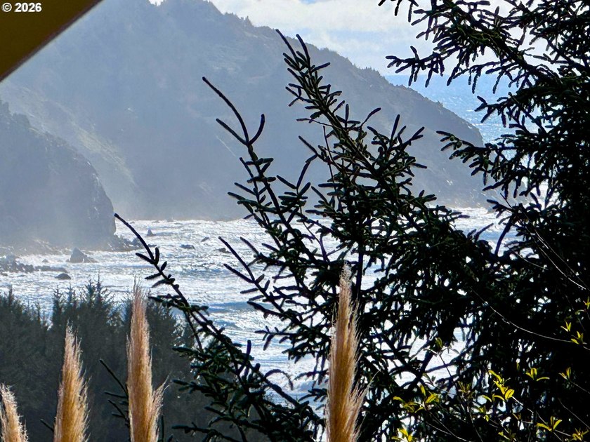 Turnkey Ocean View Cabin - Updated, Income-Producing &amp; Steps to - photo 3