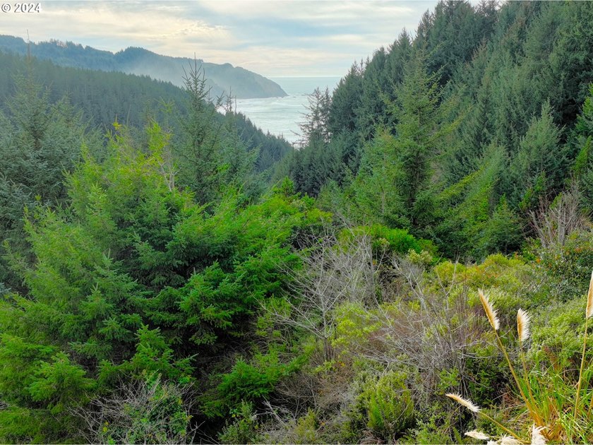 Turnkey Ocean View Cabin - Updated, Income-Producing &amp; Steps to - photo 8