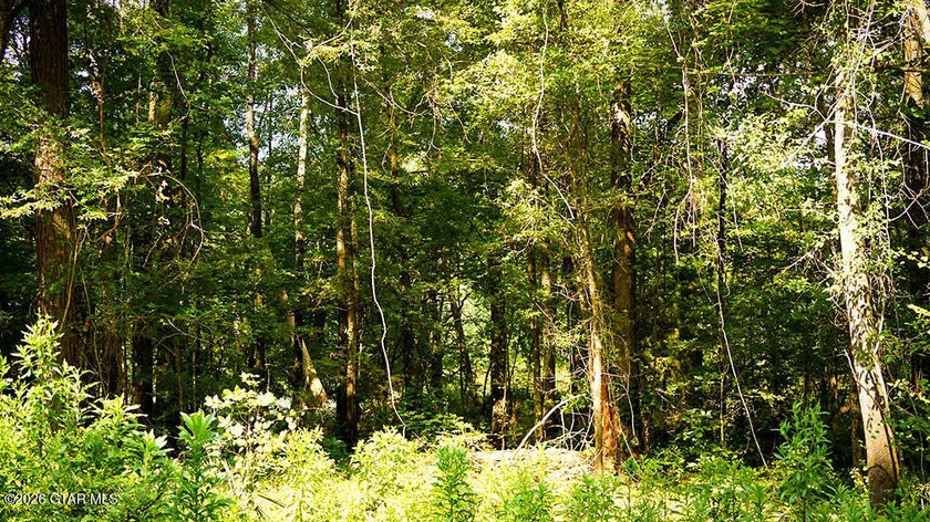 Lot 7 This peaceful lot is surrounded by hardwoods and ideal for - photo 3