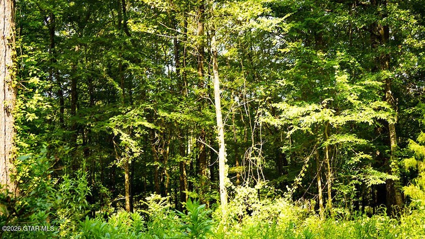 Lot 8 Build your dream home on this scenic wooded lot with room - photo 2