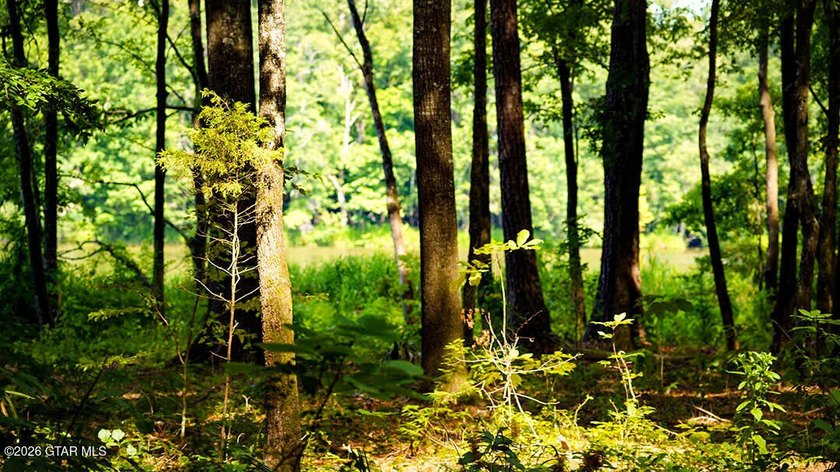 Lot 9 Private and serene, this lot offers a beautiful natural - photo 2
