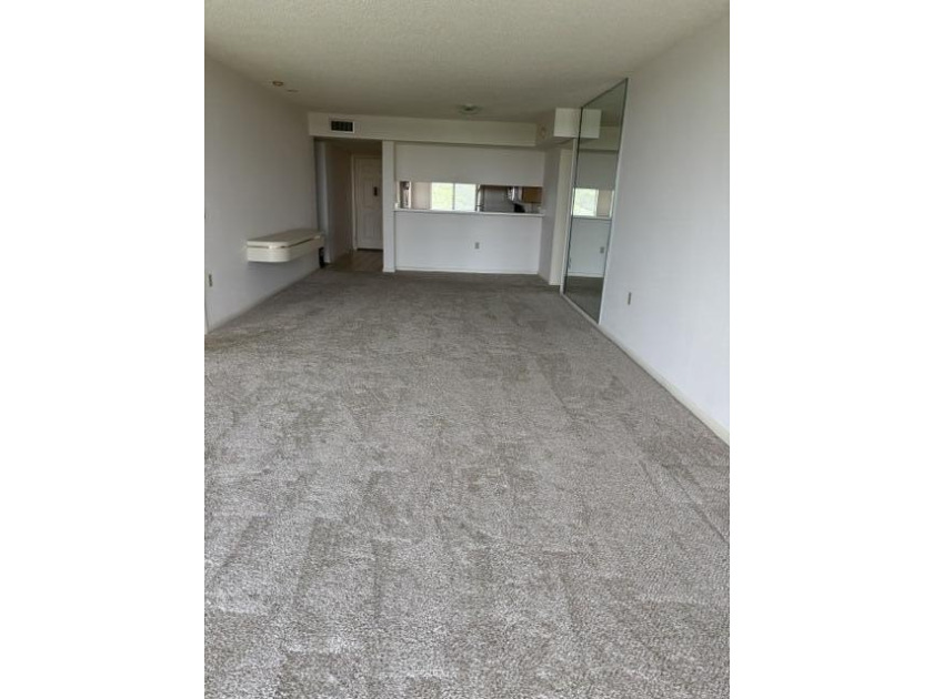 4TH FLOOR BRIGHT AND CLEAN END PENTHOUSE UNIT WITH EAT IN - photo 4