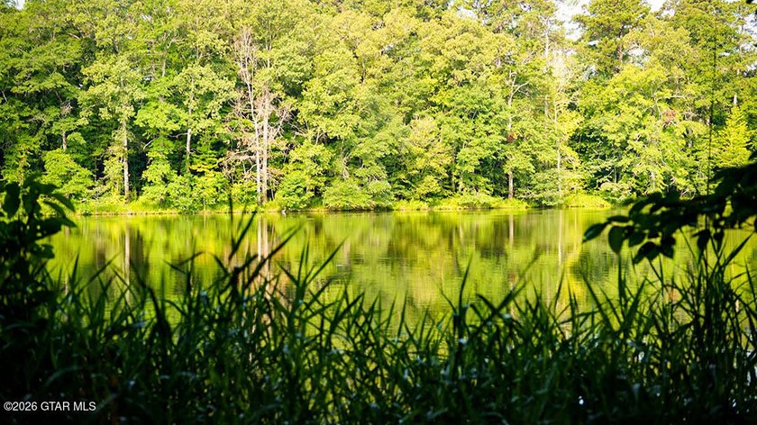 Lot 10 This is a gorgeous wooded tract with ideal terrain for - photo 4