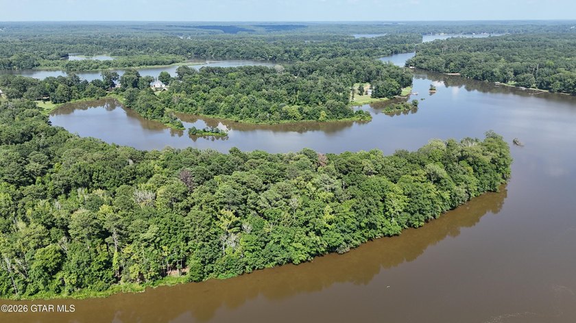 Lot 10 This is a gorgeous wooded tract with ideal terrain for - photo 8