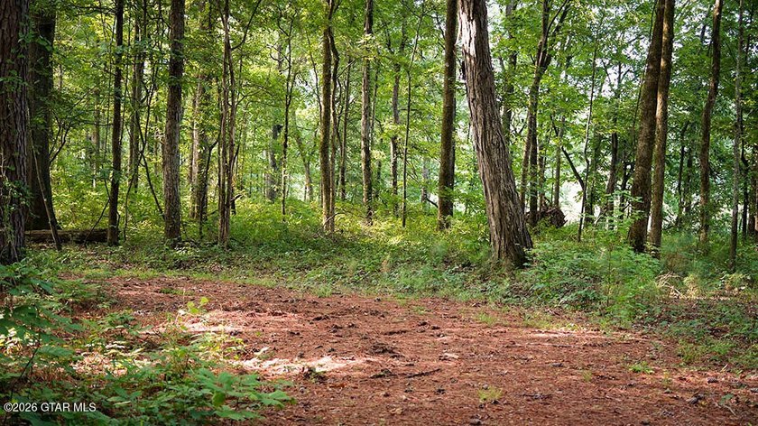Lot 11 Here's a spacious lot with mature timber and excellent - photo 4