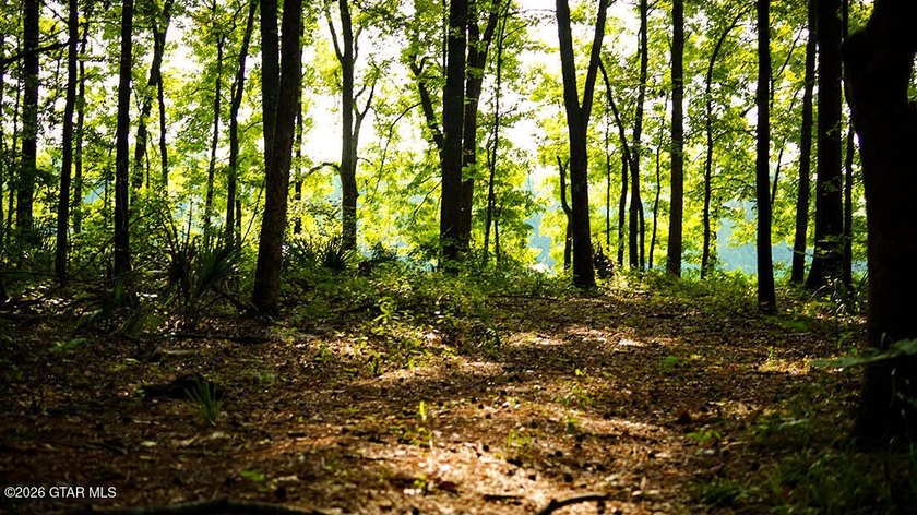 Lot 12 Enjoy peace and privacy on this wooded homesite, perfect - photo 2