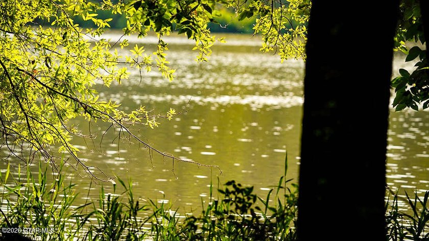 Lot 12 Enjoy peace and privacy on this wooded homesite, perfect - photo 3