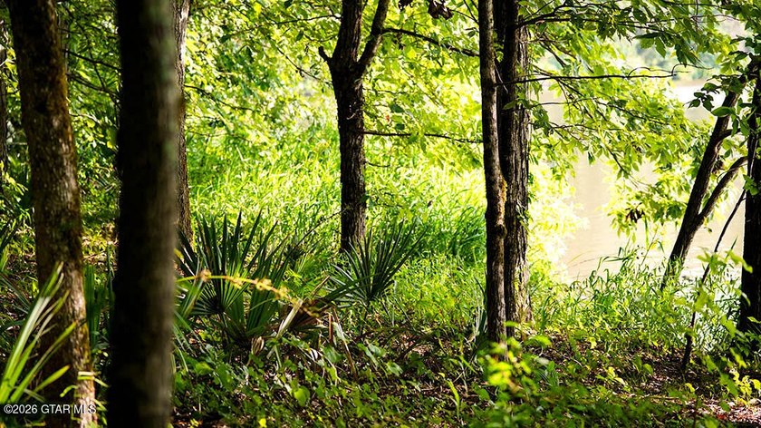Lot 12 Enjoy peace and privacy on this wooded homesite, perfect - photo 5
