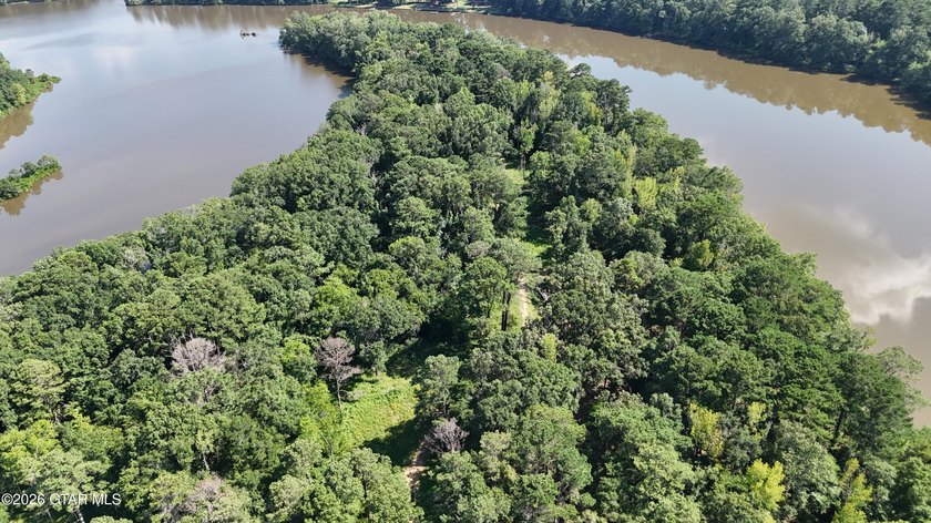Lot 12 Enjoy peace and privacy on this wooded homesite, perfect - photo 7