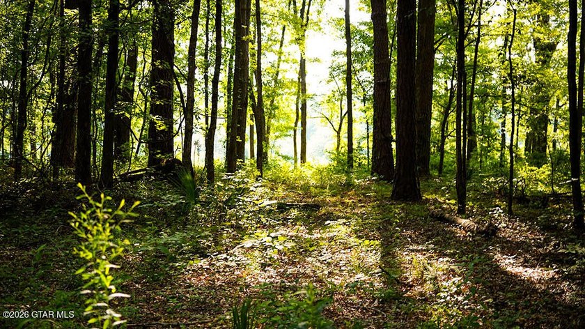 Lot 14 A stunning wooded lot with plenty of space to create your - photo 3