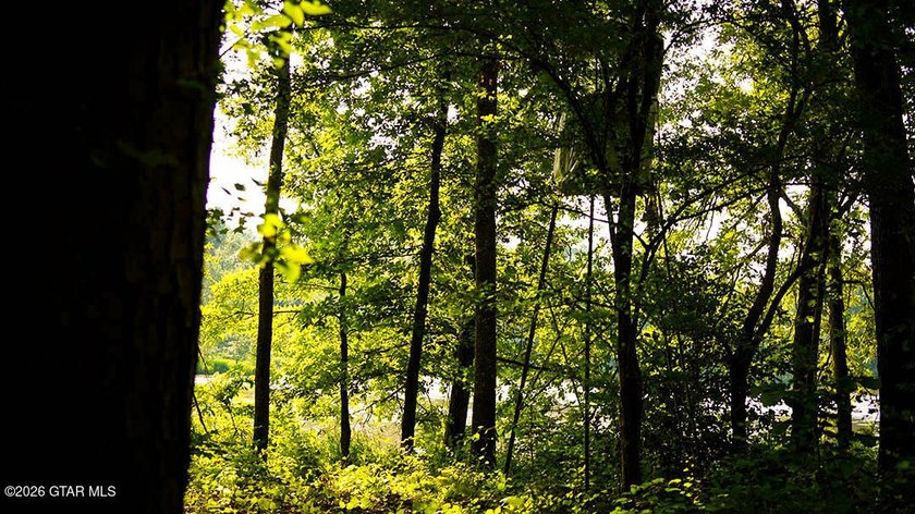 Lot 14 A stunning wooded lot with plenty of space to create your - photo 5