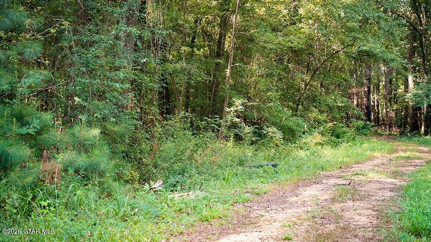 Lot 14 A stunning wooded lot with plenty of space to create your - photo 10