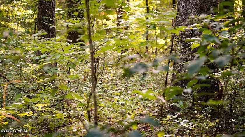 Lot 15 Perfectly situated lot with mature trees and excellent - photo 5