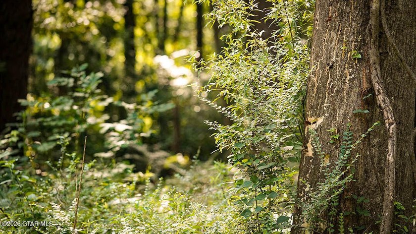 Lot 17 Nestled in a quiet setting, this wooded lot provides the - photo 2