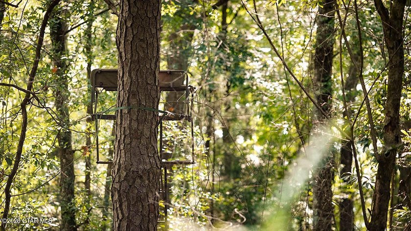 Lot 17 Nestled in a quiet setting, this wooded lot provides the - photo 3