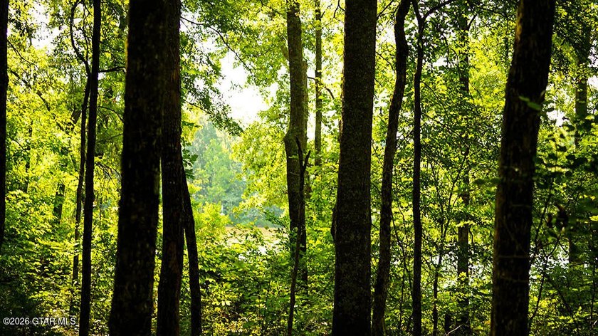 Lot 17 Nestled in a quiet setting, this wooded lot provides the - photo 6
