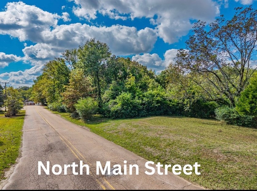 Parcel 1.01 is 19.8 acres, and Parcel 103.1 is 2.1 acres - photo 2
