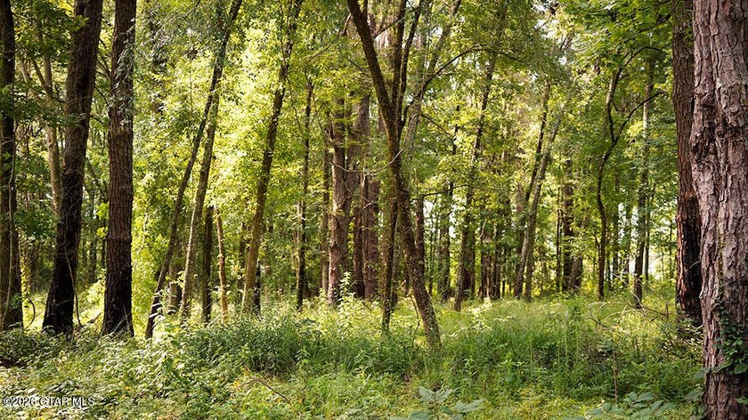 Lot 18 A premium lot with beautiful natural surroundings and - photo 3