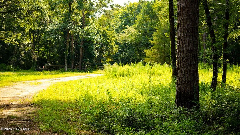 Lot 18 A premium lot with beautiful natural surroundings and - photo 4