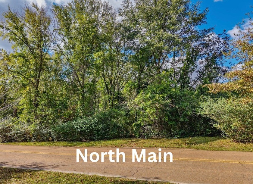 Parcel 1.01 is 19.8 acres, and Parcel 103.1 is 2.1 acres - photo 5