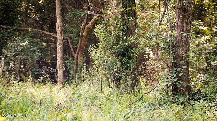Lot 18 A premium lot with beautiful natural surroundings and - photo 6