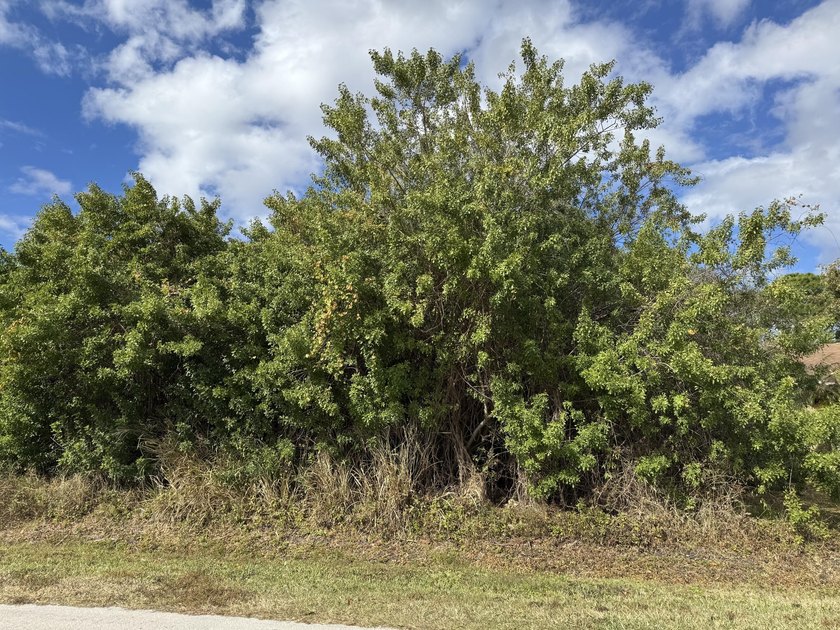 Looking to build your dream home in Port St Lucie. Vacant lot - photo 2