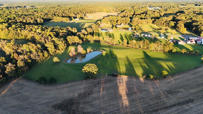 15 acres in Rienzi with room to build and enjoy the outdoors! - photo 2
