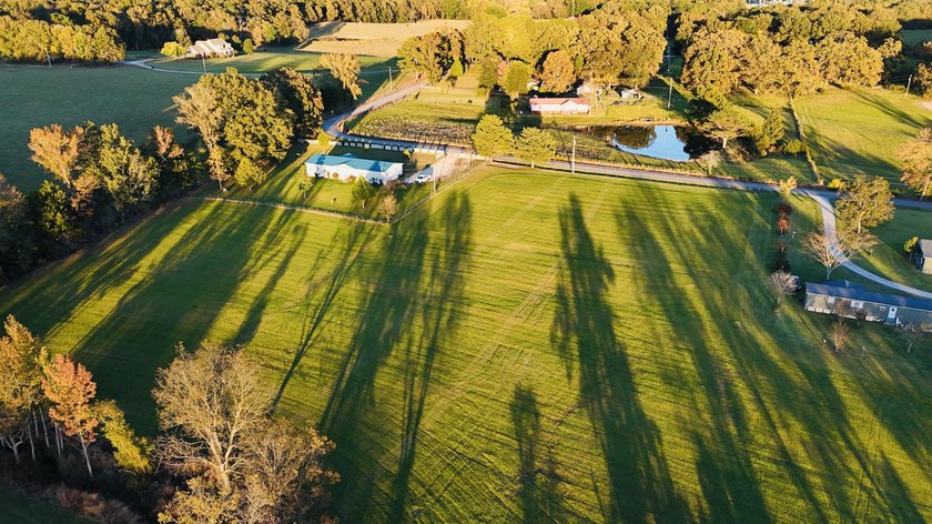 15 acres in Rienzi with room to build and enjoy the outdoors! - photo 6