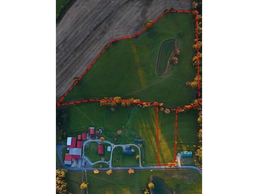 15 acres in Rienzi with room to build and enjoy the outdoors! - photo 10