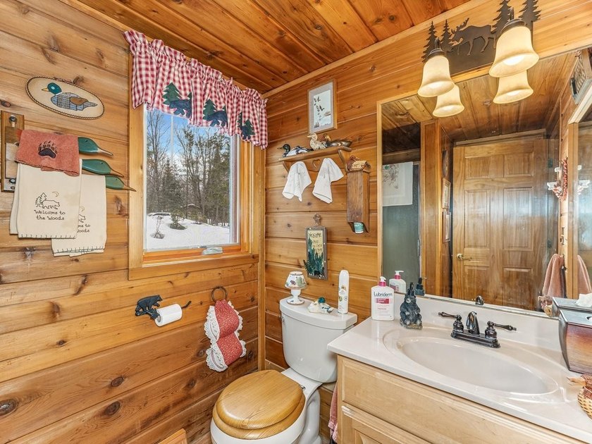 Welcome to the heart of the Northwoods! Beautiful 3bedroom - photo 28