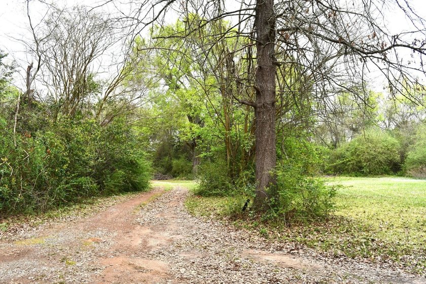 Great investor or first time owner home. Huge front yard to play - photo 10