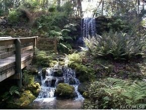 Situated centrally within the Rainbow Springs Community, this - photo 28
