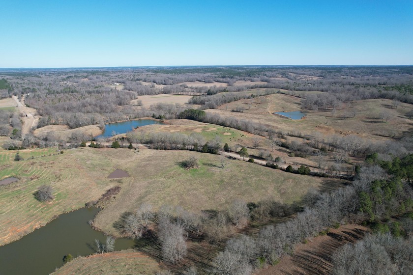 Excellent 13 acre tract on Highway 349 in Potts Camp, MS - photo 13