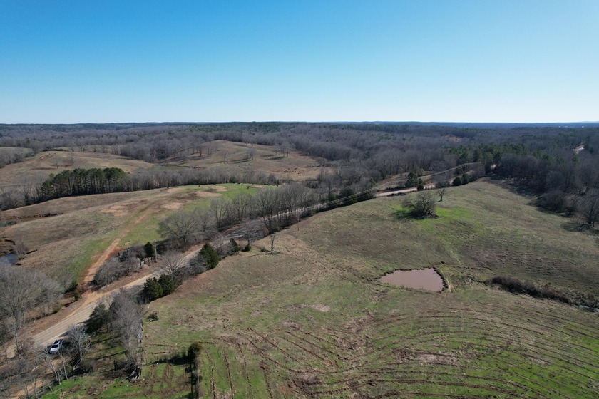 Excellent 13 acre tract on Highway 349 in Potts Camp, MS - photo 15