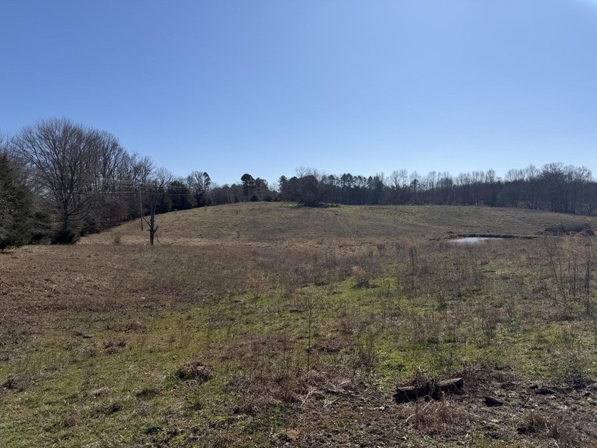 Excellent 13 acre tract on Highway 349 in Potts Camp, MS - photo 16