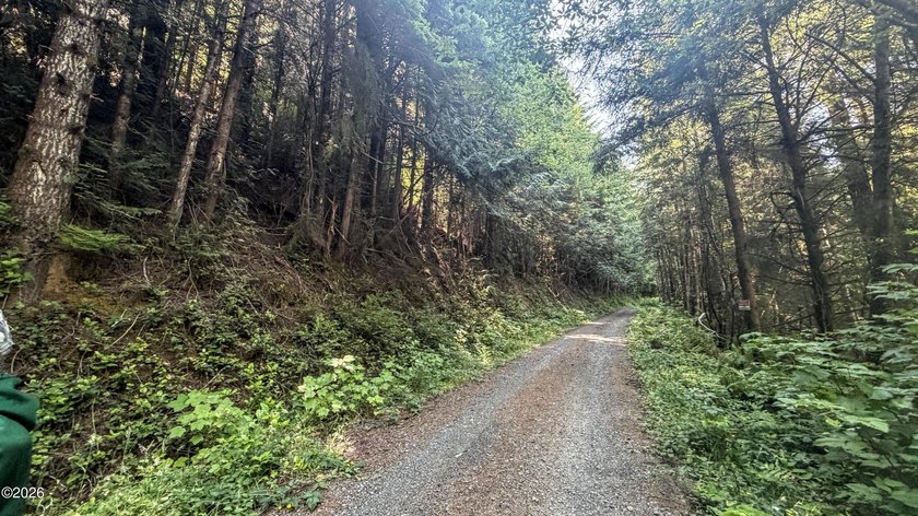Rare opportunity to own this undeveloped 7.57 private acres up - photo 4