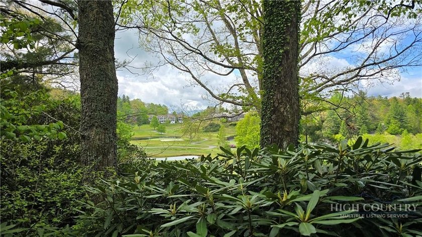 True Blowing Rock Cottage Charm on the Prestigious Blowing Rock - photo 2