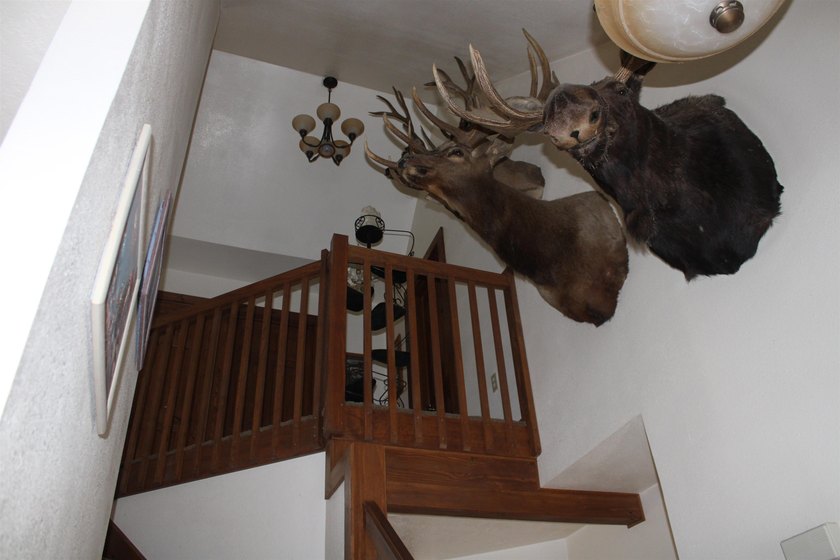 Gorgeous views, abundant wildlife, and the rare sound of live - photo 6