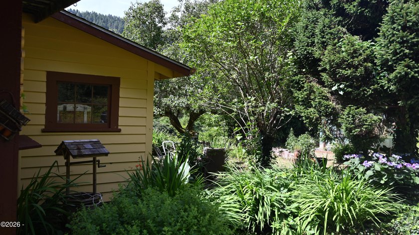 Beautiful 1920 farmhouse and acreage just waiting for your - photo 5