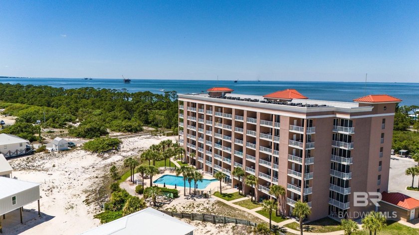 If you're looking for a spacious condo where owners can bring - photo 34