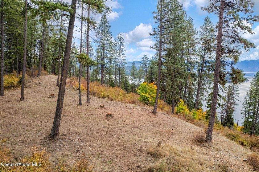 An exclusive estate property with panoramic lake views! This - photo 6