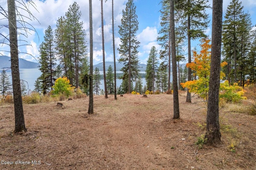 An exclusive estate property with panoramic lake views! This - photo 7