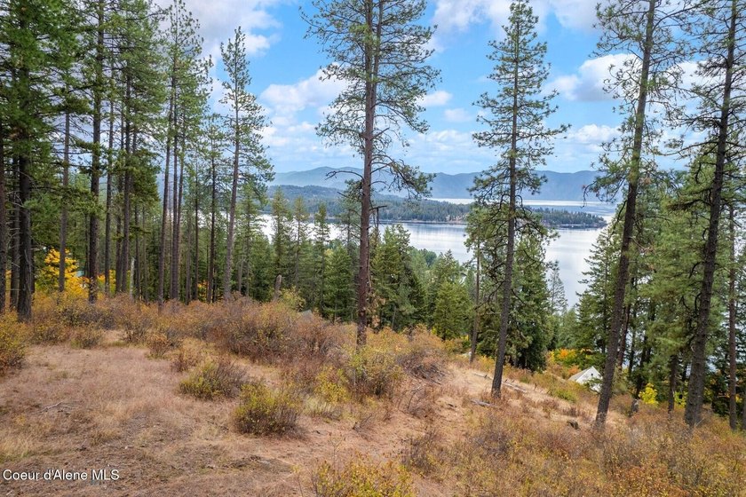 An exclusive estate property with panoramic lake views! This - photo 9